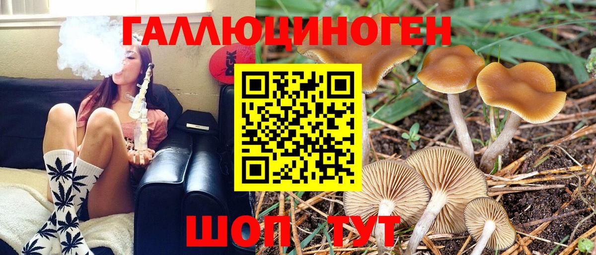 Галлюциногенные грибы MAGIC MUSHROOMS Кизляр
