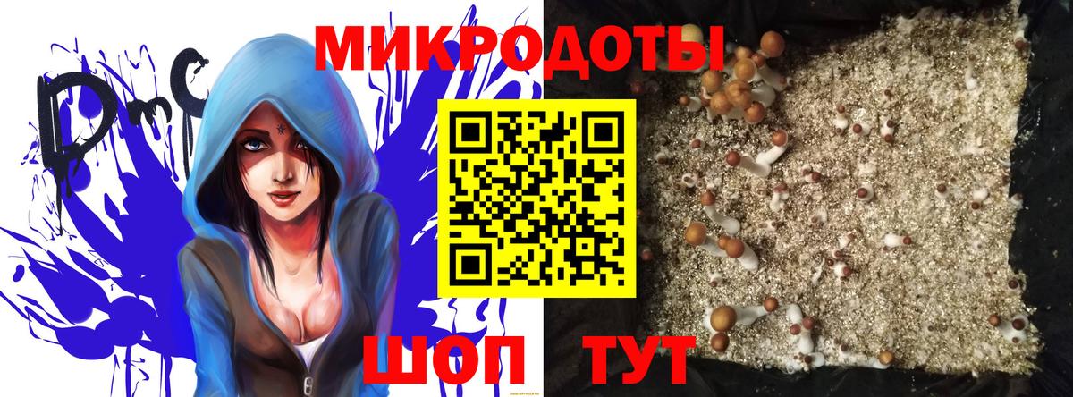купить  цена  Галлюциногенные грибы Cubensis  Вход с VPN  Кизляр  Галлюциногенные грибы прущие грибы 